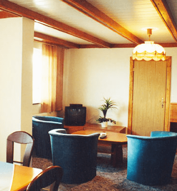 Obrázek - Hotel Game *** - Ubytování je ve stylovém hotelu s restaurací a salonkem Klenčí pod Čerchovem