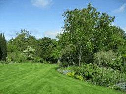 Obrázek - Zahrada a krajina - projekce a revitalizace